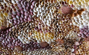 Palazzo Durazzo Suites