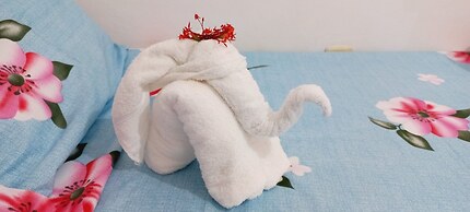 Casa Paraíso das Conchas