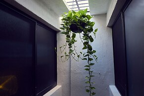 Hostal Ixchel - Hostel