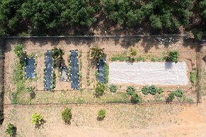 Modone Villas in Peloponnese