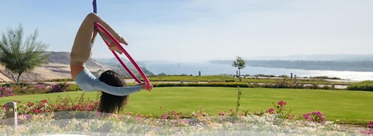 The Zen Wellness Resort