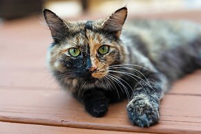 The Lofts on Indian Point