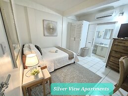 Silver View Apartments