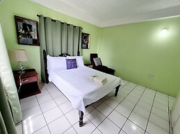 Silver View Apartments
