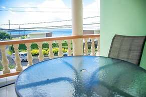 Silver View Apartments