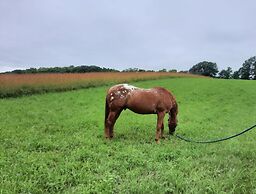 Margarita Vacation Getaway