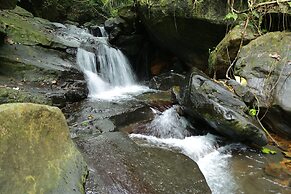 Holistic Stay Eco Resort