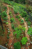 Holistic Stay Eco Resort