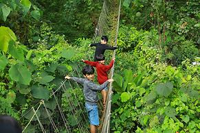 Holistic Stay Eco Resort