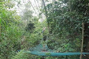 Holistic Stay Eco Resort