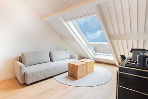 The Lince Santa Clara