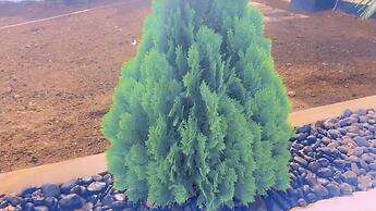 Stunning 3-bedrooms Guesthouse in Limbe Cameroon