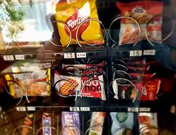 CAMELIA ROOMS VENICE GUESTHOUSE