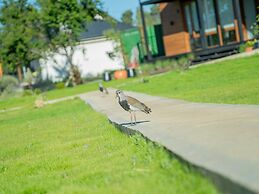 Luna Llena Dina Huapi