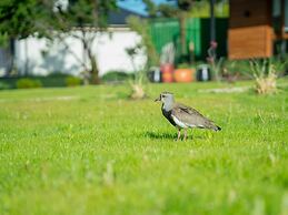 Luna Llena Dina Huapi