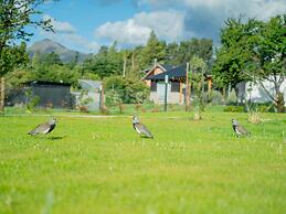 Luna Llena Dina Huapi