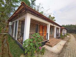 Rain Forest Eco Resort