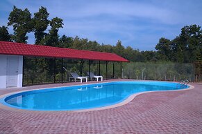 Rain Forest Eco Resort