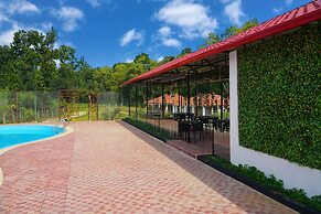 Rain Forest Eco Resort