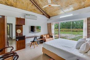 Rain Forest Eco Resort