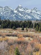 Cobblestone Hotel & Suites - Alpine