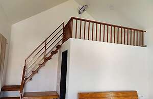 Shrubbery Palms Resort