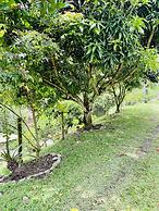 Hotel West California