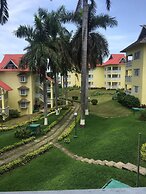 Endless Summer Brookside