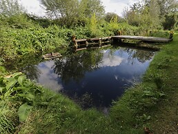 The Big Box Brandeers