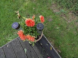 The Big Box Brandeers