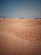 Moon Dunes Apartment