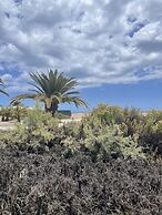 Moon Dunes Apartment