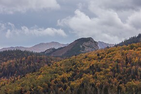 Highlander Nedzy Kubinca by Renters