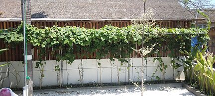 Roots Hotel Trawangan