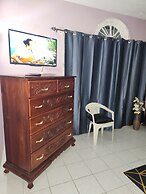 Apartment 379 Hudson Avenue