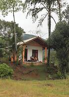 Sinharaja Serenity Retreat