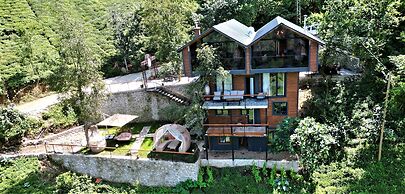 MEZRA DOĞAL DAĞ EVLERİ