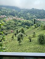 MEZRA DOĞAL DAĞ EVLERİ