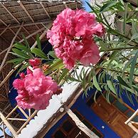 sagandobungalows