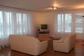 Nest - Baarerstrasse 55