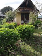 Mara Forest camp