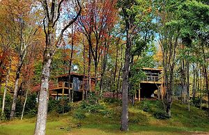 Piedmont Grove
