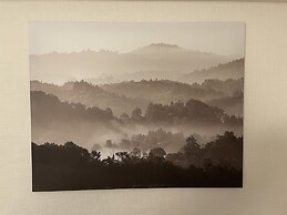 Oak Stay Shimokitazawa