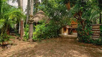 OMA Cancun Holistic Healing Center