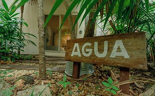 OMA Cancun Holistic Healing Center