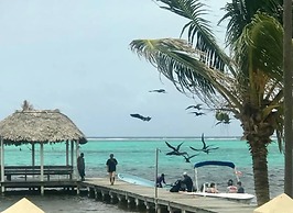 Modern house with océano view in Belice