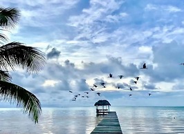 Modern house with océano view in Belice