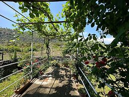 B&B Acireale - Il Cavalluccio Marino Fronte Mare
