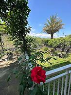 B&B Acireale - Il Cavalluccio Marino Fronte Mare