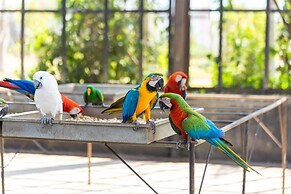 Wonderland Suites and Resort